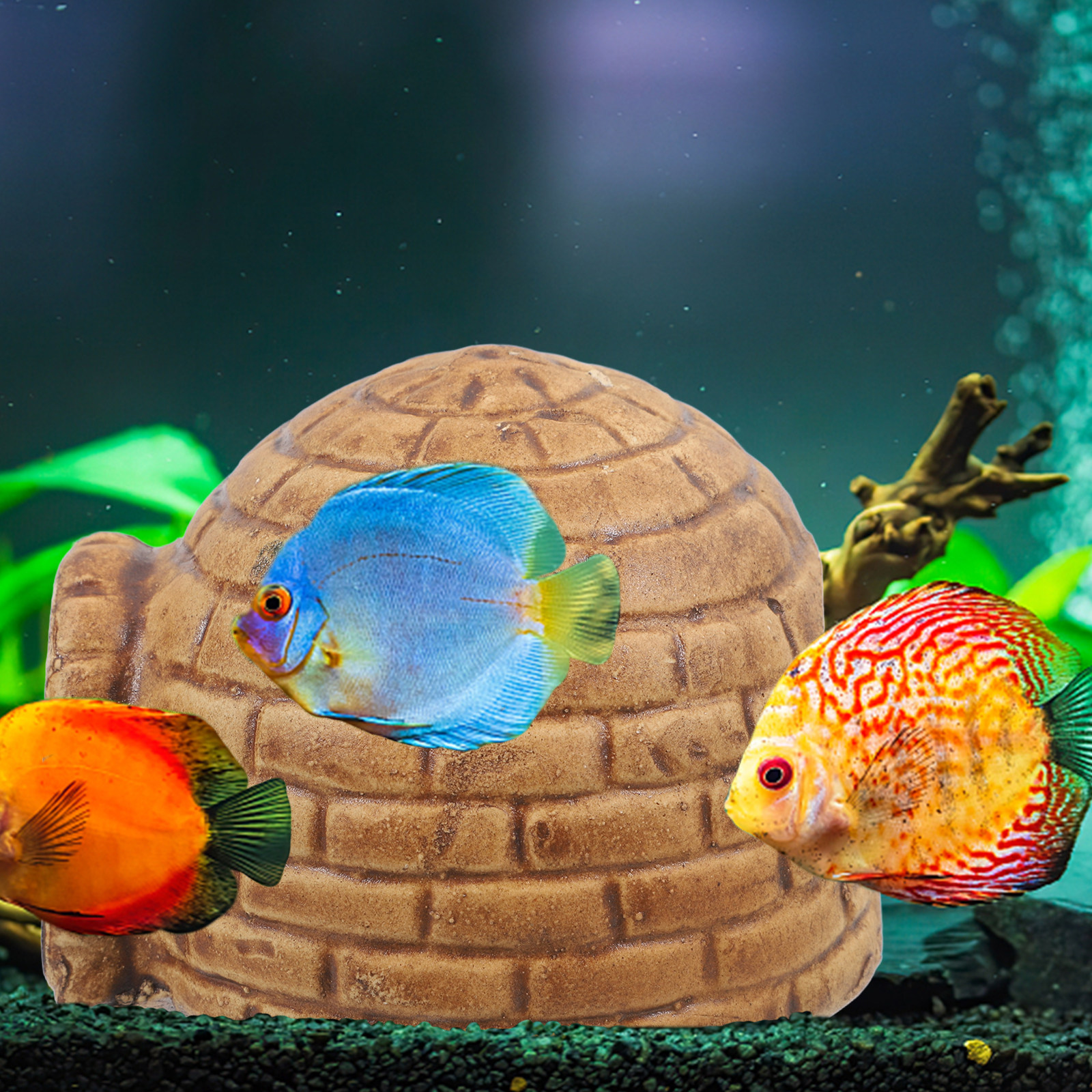 Hide Cave Ceramic - Ceramic Pleco Caves for Aquarium Fish