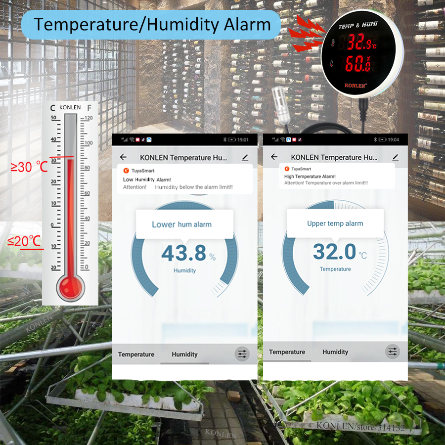 Tuya WIFI Temperature Humidity - đánh giá và giá Digital Hygrometer Probe