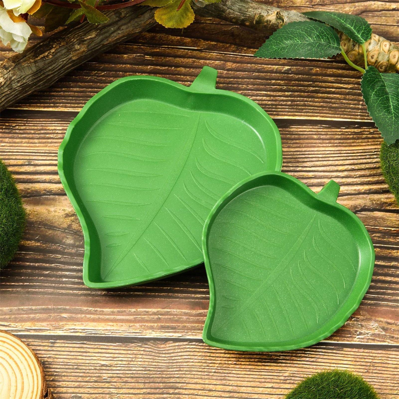 Turtle Feeding Bowl Reptile Fe - đánh giá và giá Water Dish Reptile