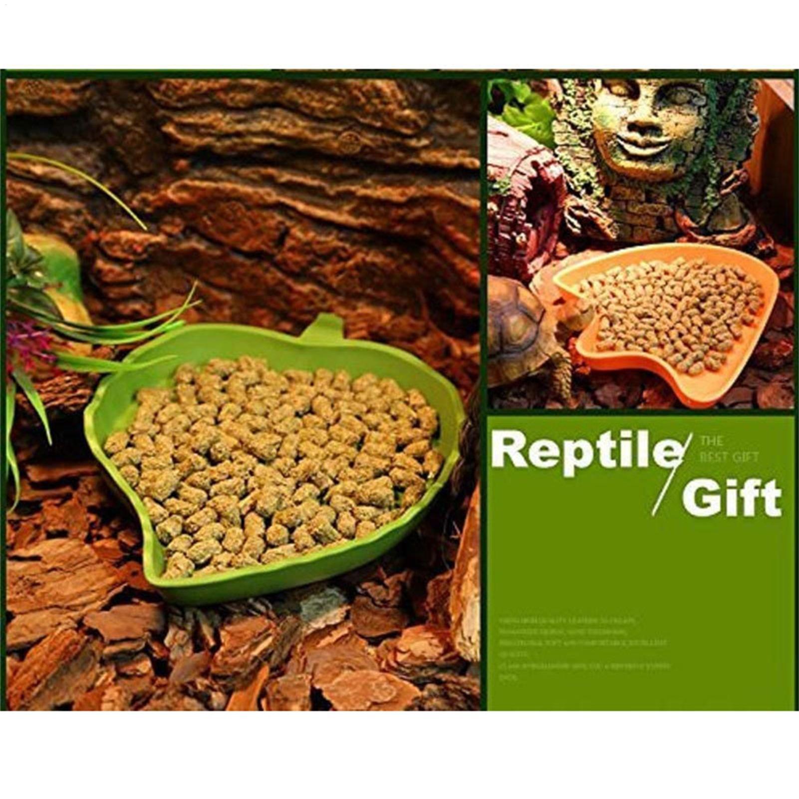 Turtle Feeding Bowl Reptile Fe - đánh giá và giá Water Dish Reptile