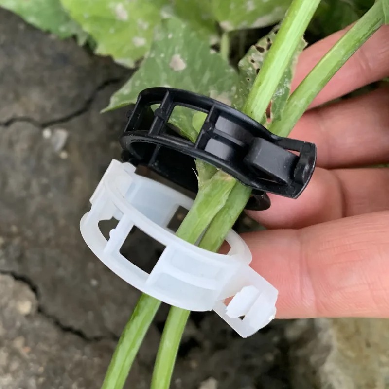 Reusable Plastic Plant Support - đánh giá và giá Vine Climbing Plastic