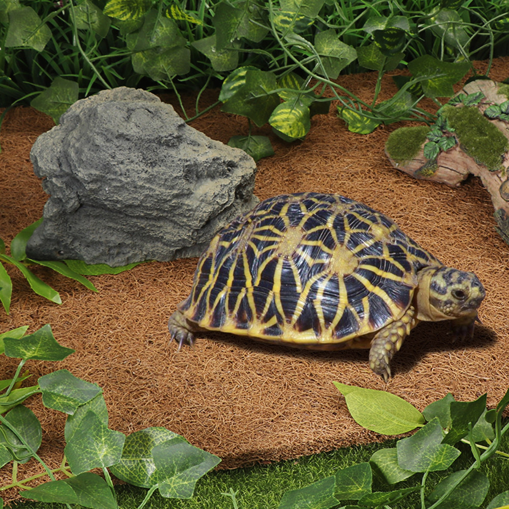 Reptile Thermal Substrate Carp - đánh giá và giá Substrate Coconut Fiber