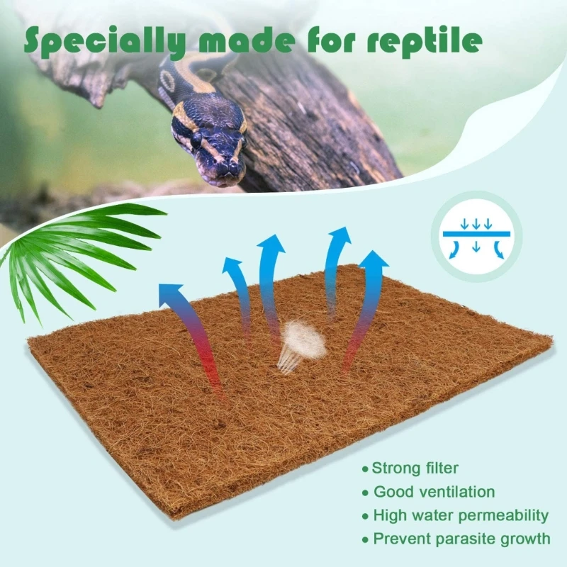 Pack Of 4 Natural Coconut Fibe - đánh giá và giá Substrate Coconut Fiber