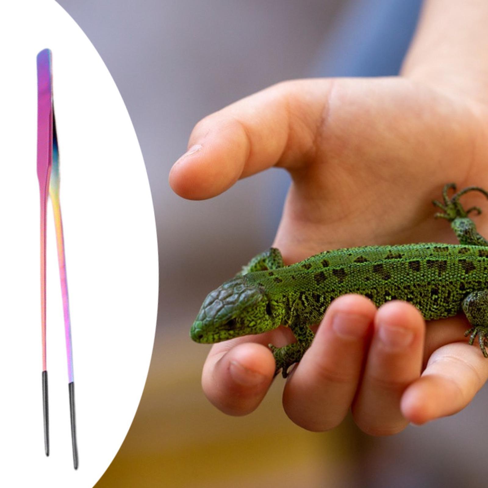 Terrarium Reptile Feeder Tongs - đánh giá và giá Feeding Tong Stainless