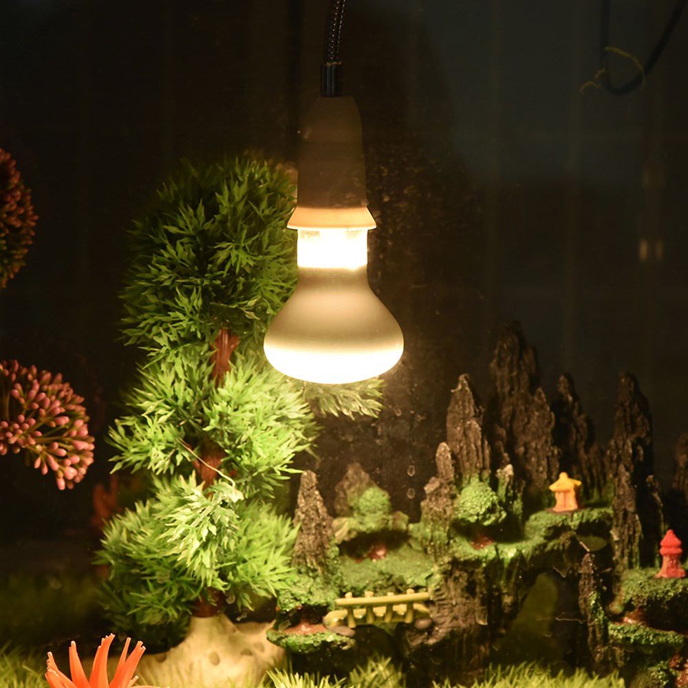 Amphibians Heater Temperature  - đánh giá và giá Basking Bulb Halogen
