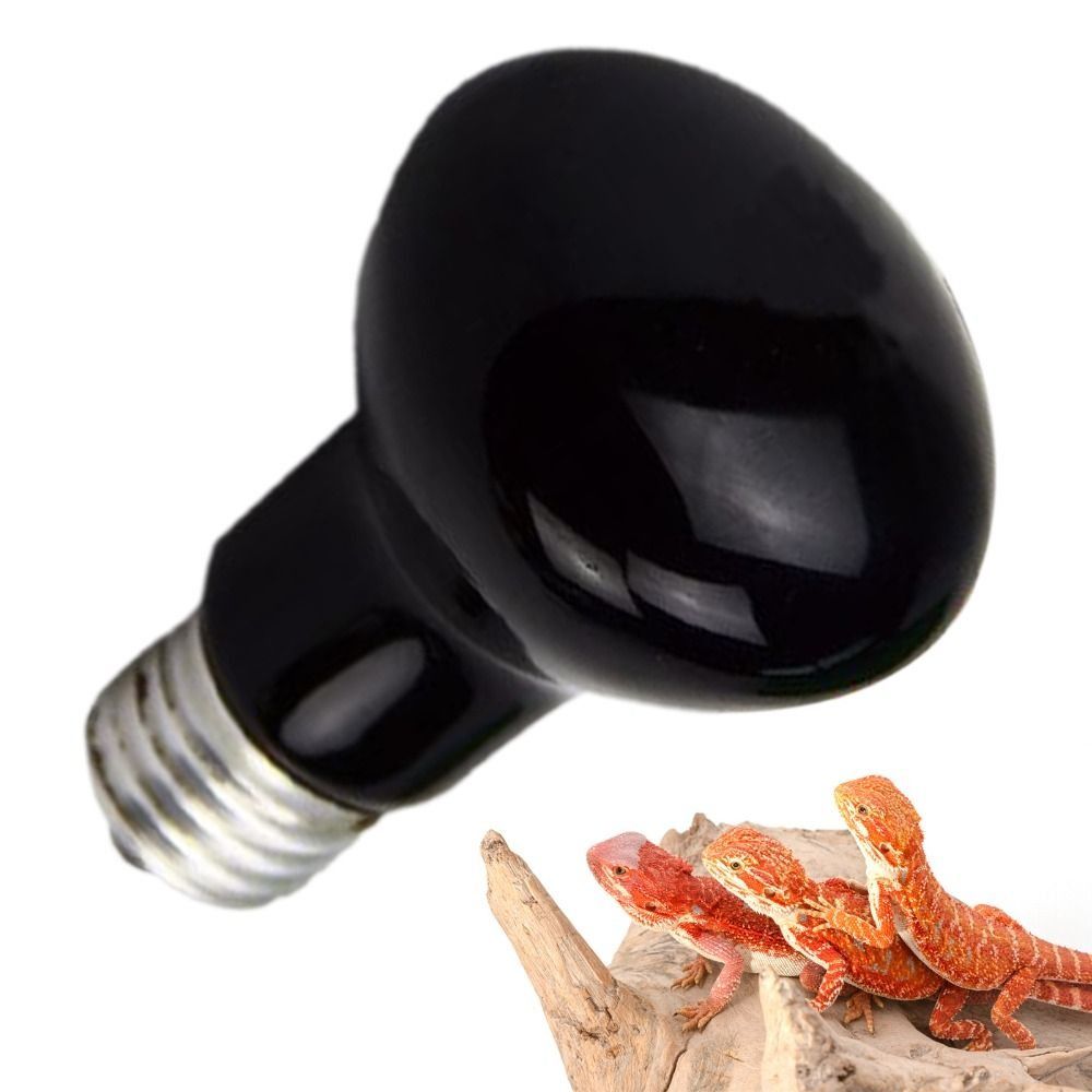 Infrared Led Pet Heating Lamp  - đánh giá và giá Ceramic Heat Emitter