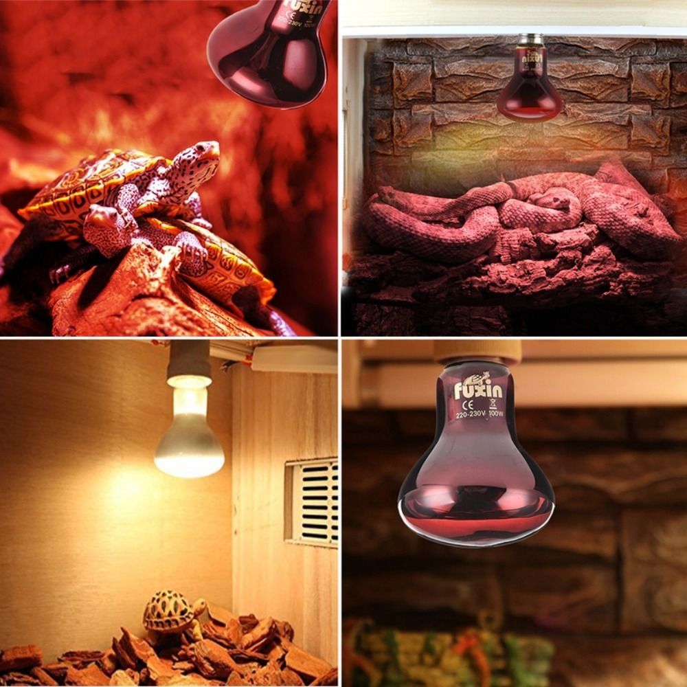 Infrared Led Pet Heating Lamp  - đánh giá và giá Ceramic Heat Emitter
