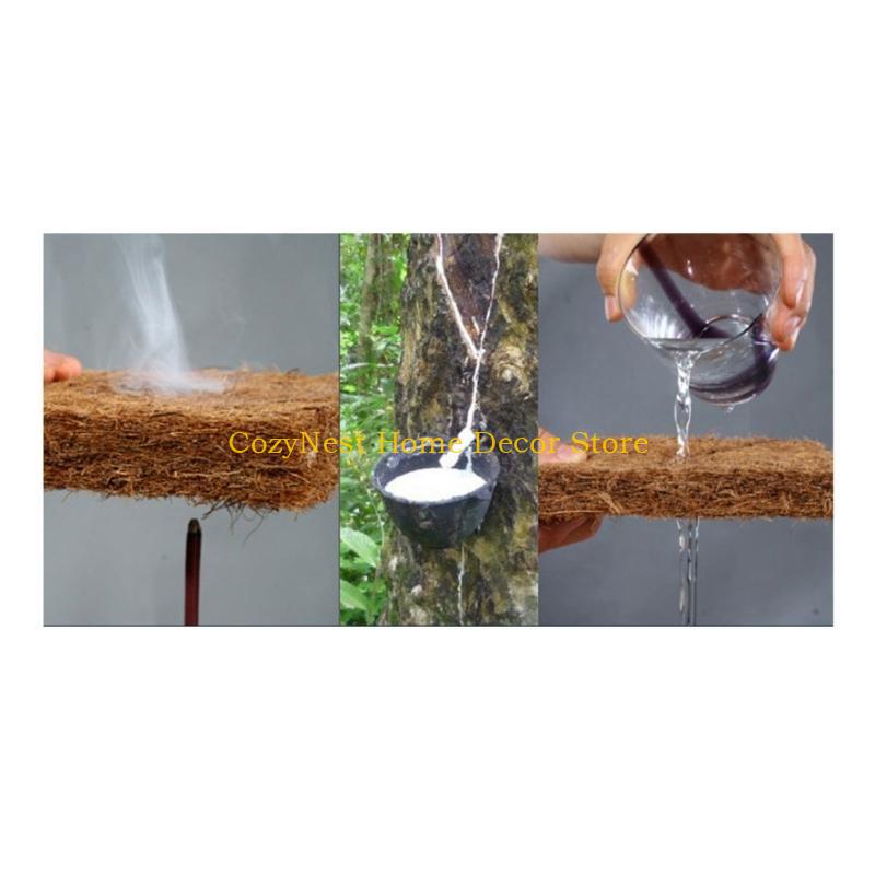 92MF Terrariums Substrate Line - đánh giá và giá Substrate Coconut Fiber