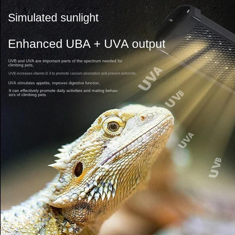 10.0 20.0 Reptile Full Spectru - đánh giá và giá Calcium Powder Reptile