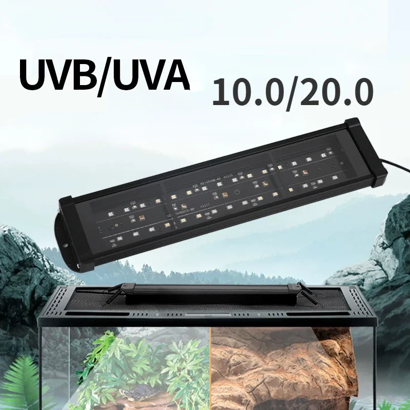 10.0 20.0 Reptile Full Spectru - đánh giá và giá Calcium Powder Reptile
