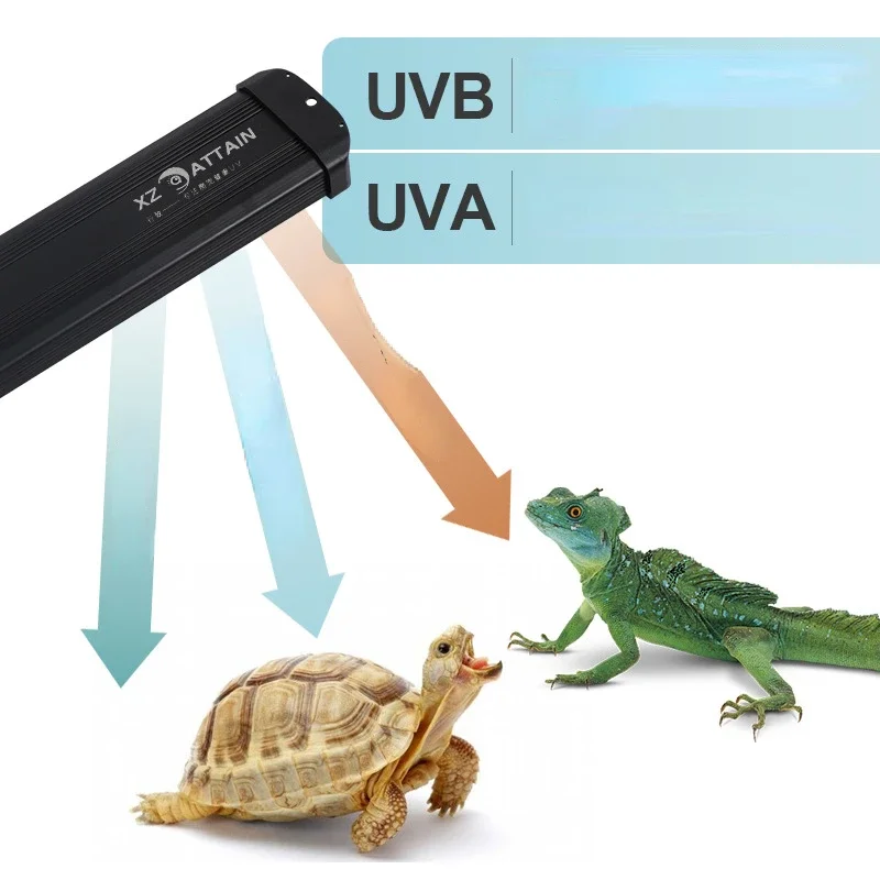 10.0 20.0 Reptile Full Spectru - đánh giá và giá Calcium Powder Reptile