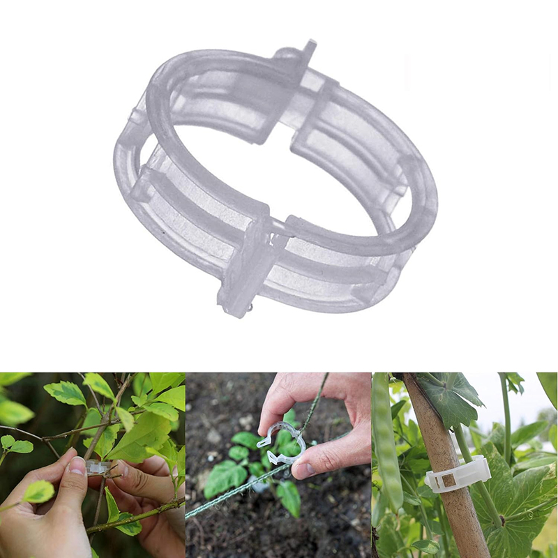 100pcs Clear Plastic Plant Cli - đánh giá và giá Vine Climbing Plastic