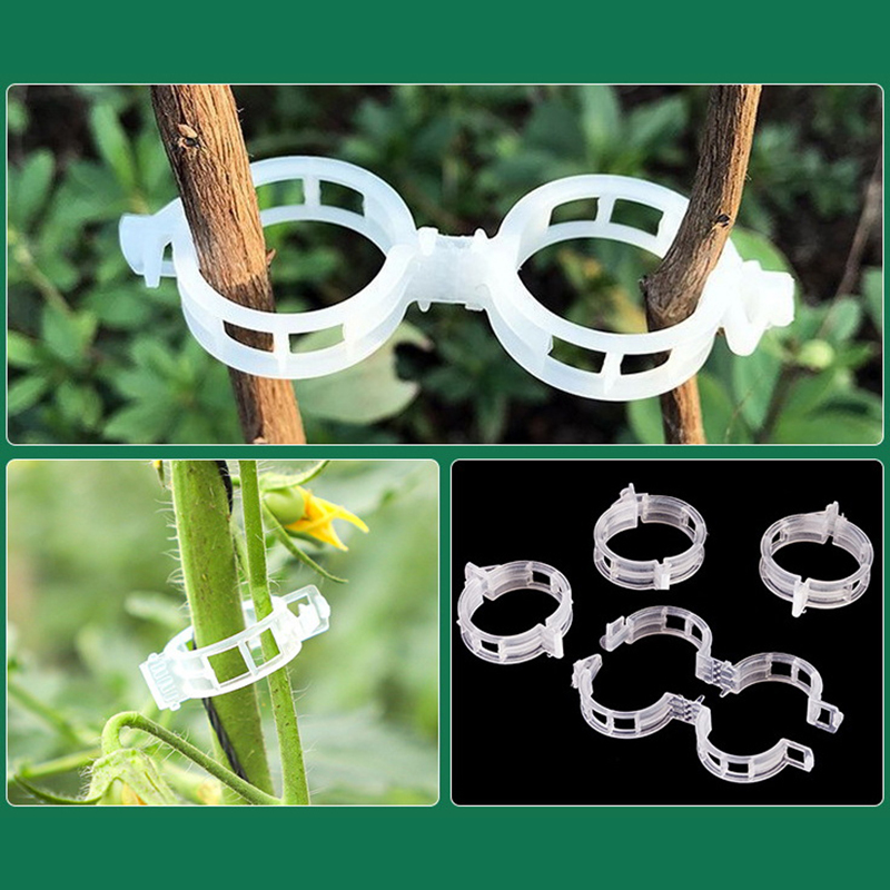 100pcs Clear Plastic Plant Cli - đánh giá và giá Vine Climbing Plastic