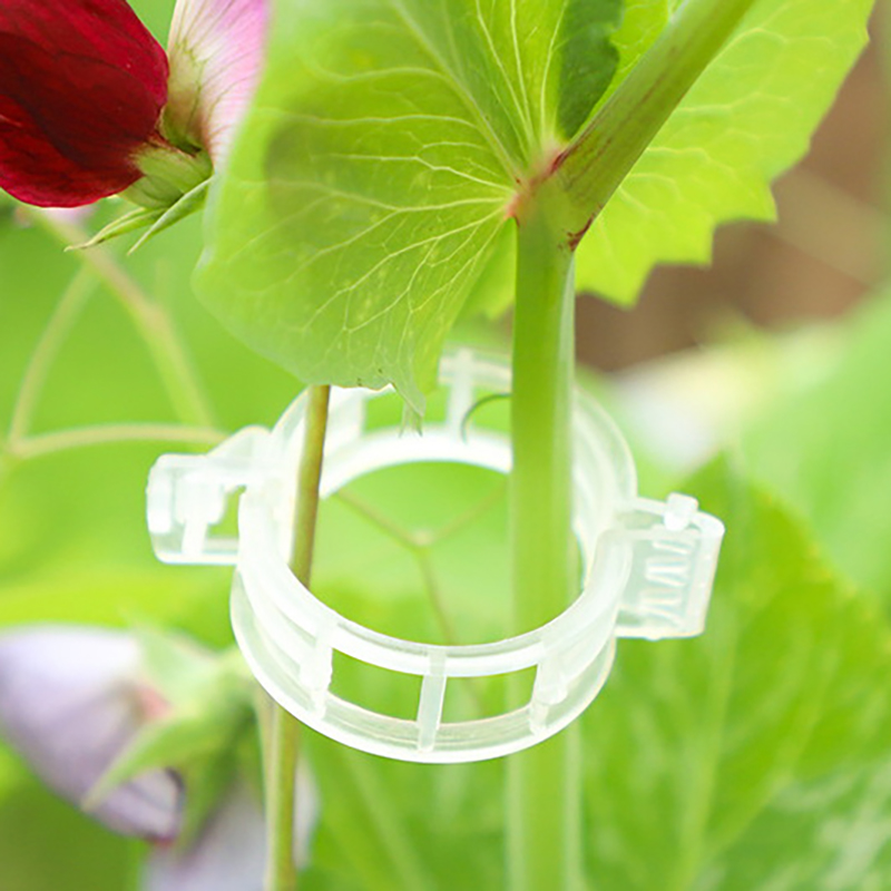 100pcs Clear Plastic Plant Cli - đánh giá và giá Vine Climbing Plastic