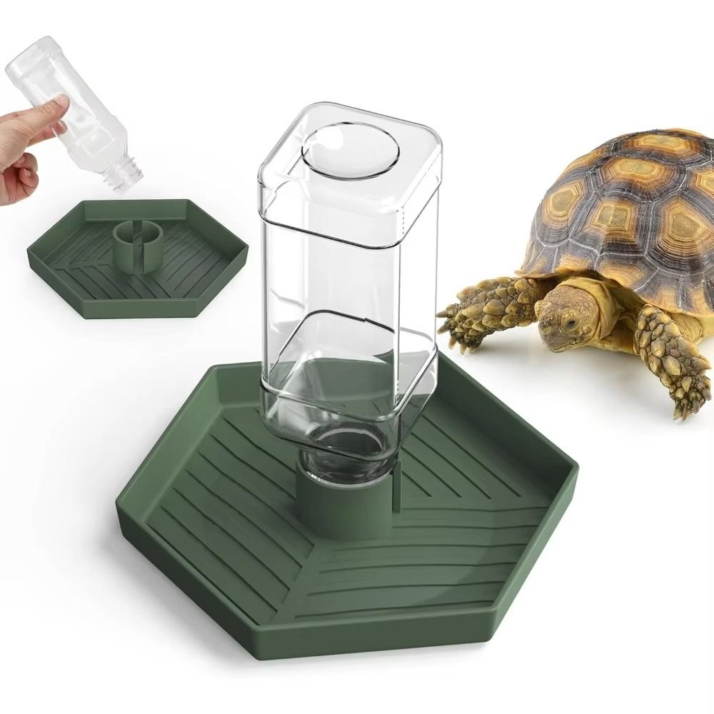 Turtle Food Bowl Anti-slip Rep - đánh giá và giá Water Dish Reptile