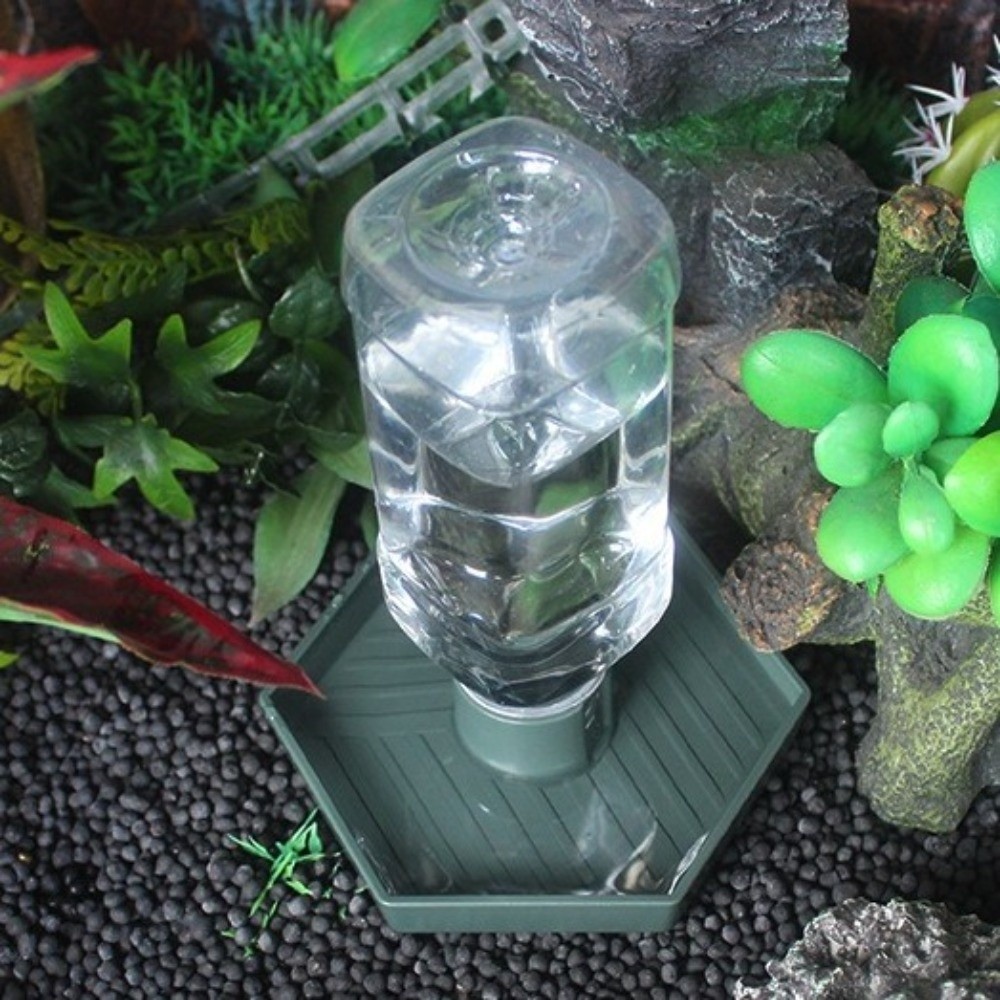 Turtle Food Bowl Anti-slip Rep - đánh giá và giá Water Dish Reptile