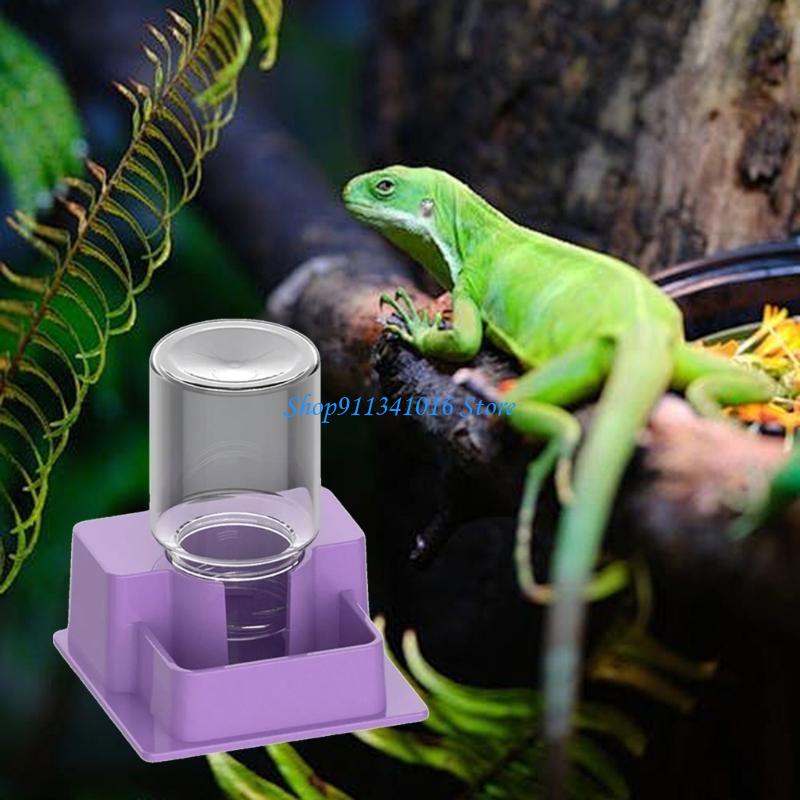  Multifunctional Reptiles Drin - đánh giá và giá Water Dish Reptile