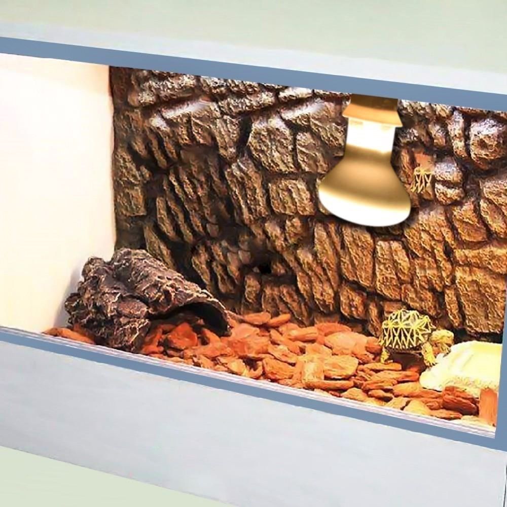 Amphibians Heater Heat Lamp UV - đánh giá và giá Basking Bulb Halogen