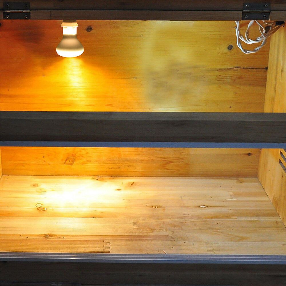 Amphibians Heater Heat Lamp UV - đánh giá và giá Basking Bulb Halogen