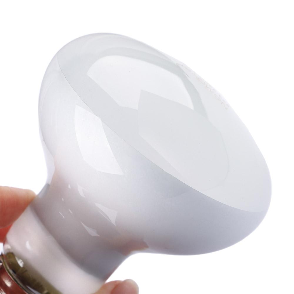 Amphibians Heater Heat Lamp UV - đánh giá và giá Basking Bulb Halogen