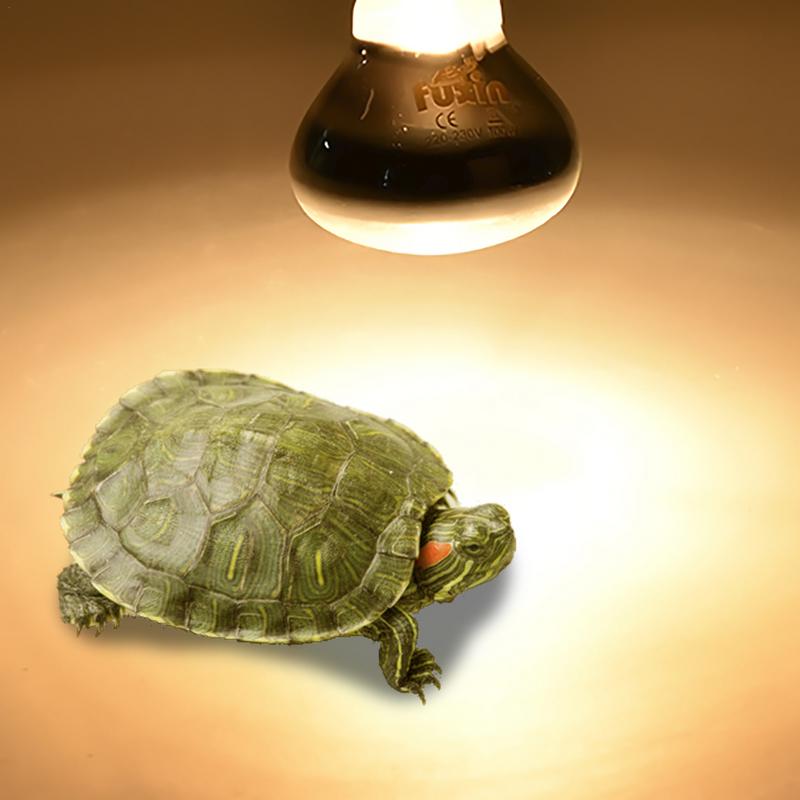 Pet Heating Lamp E27 Day Night - đánh giá và giá Ceramic Heat Emitter