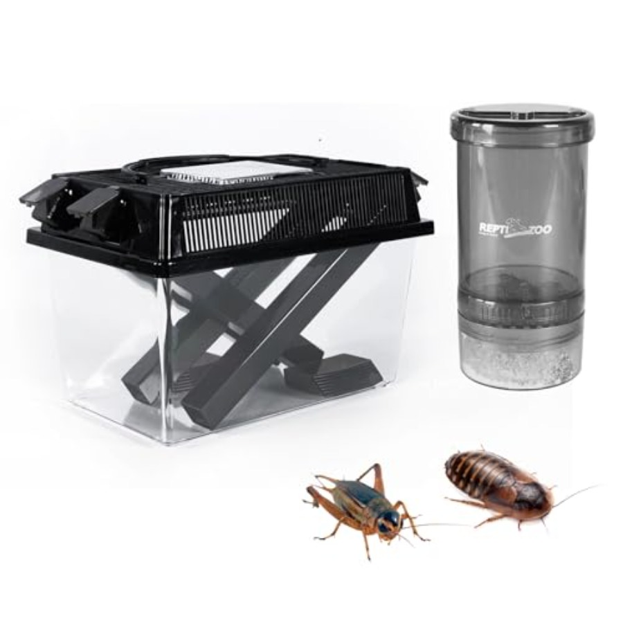 【Spot goods】Reptile Cricket Ke - đánh giá và giá Calcium Powder Reptile
