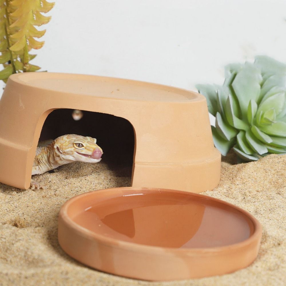 Multifunctional Ceramics Repti - đánh giá và giá Hide Cave Ceramic