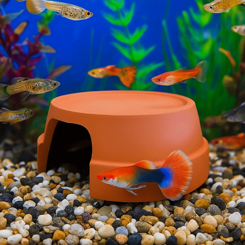 Multifunctional Ceramics Repti - đánh giá và giá Hide Cave Ceramic