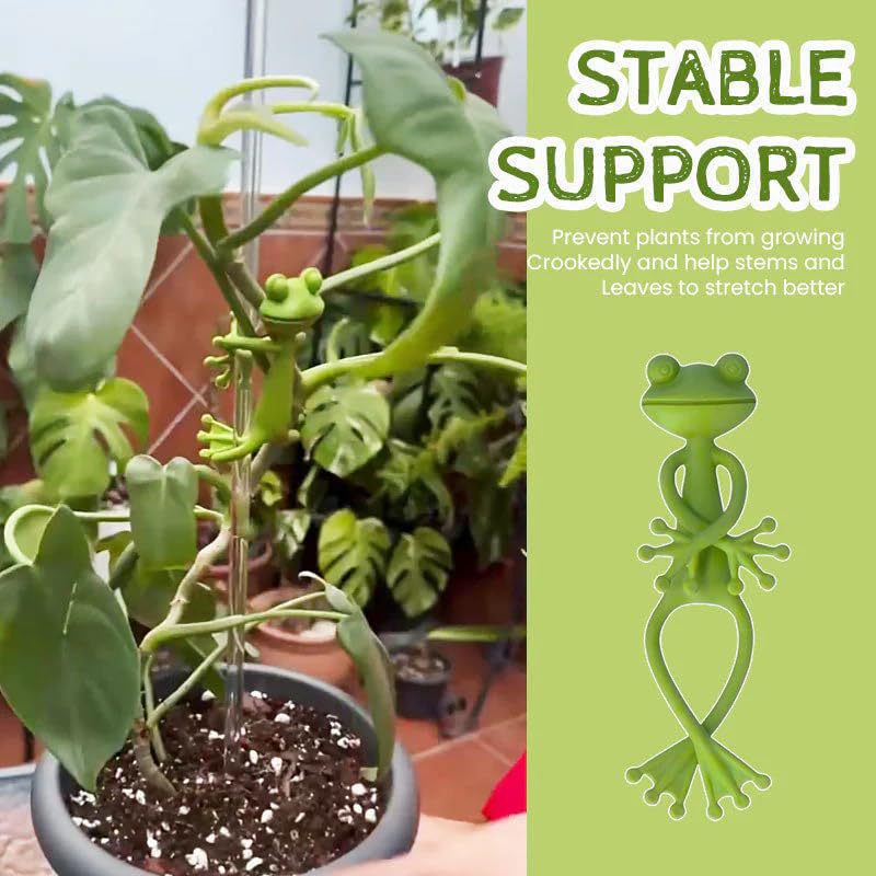 Frog Plant Stand Frog Plant St - đánh giá và giá Vine Climbing Plastic
