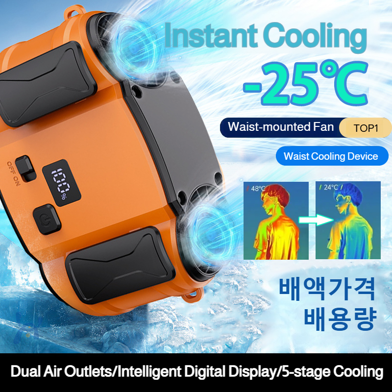 Outdoor Double Air Outlet Fan  - đánh giá và giá Timer Dual Outlet