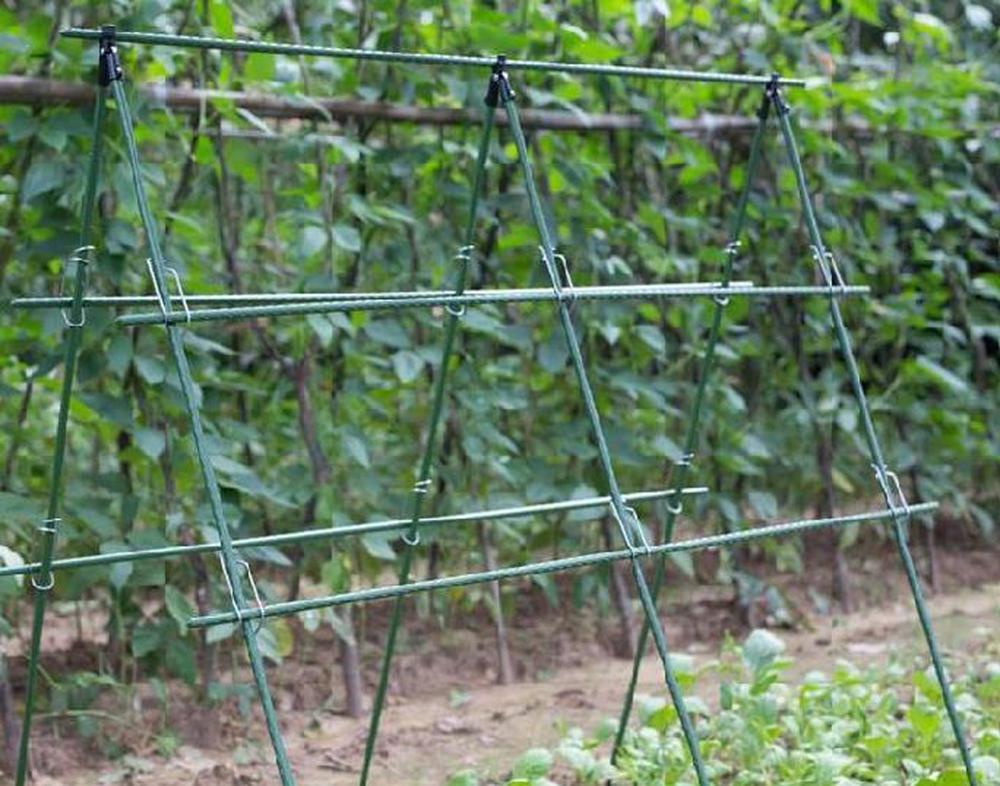 Diameter 8/11/16mm Plant Suppo - đánh giá và giá Vine Climbing Plastic
