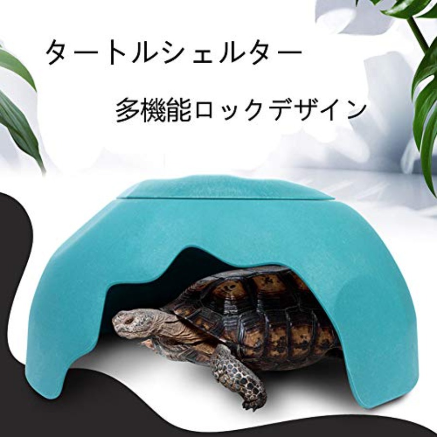 【Spot goods】Reptiles House wit - đánh giá và giá Hide Cave Ceramic