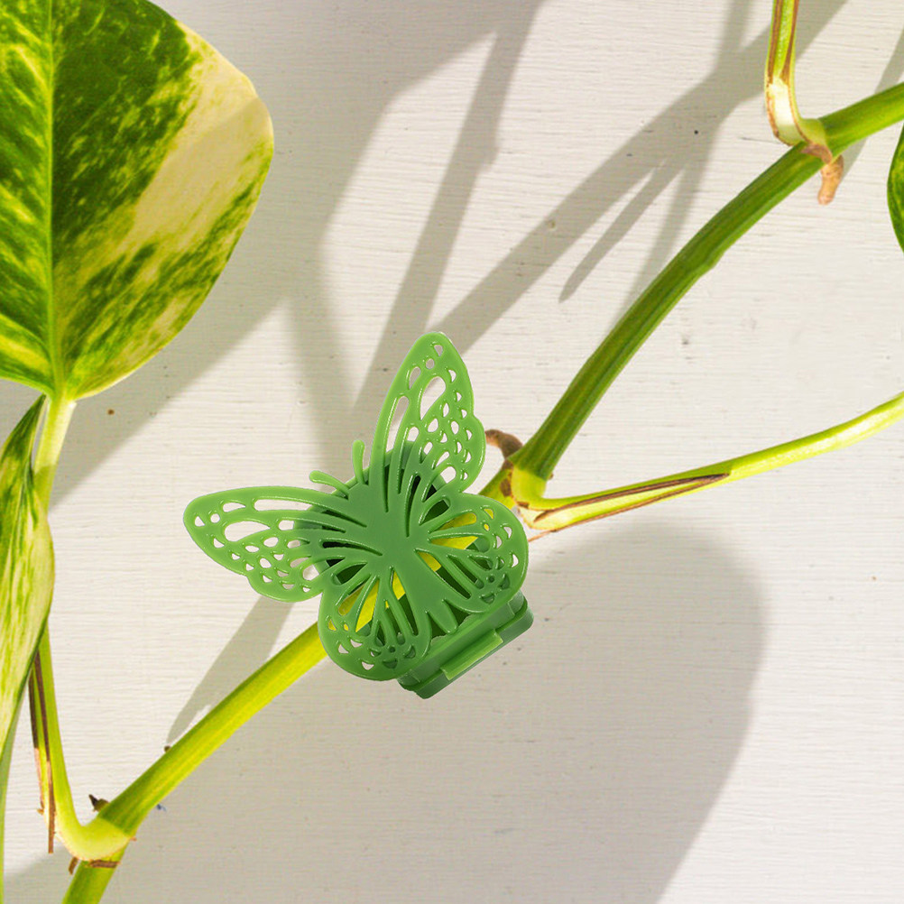 20Pcs Plastic Trellis Clips fo - đánh giá và giá Vine Climbing Plastic