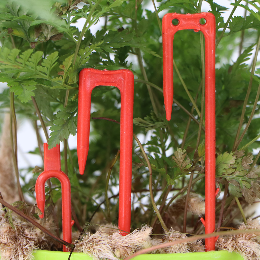 20-50PCS Strawberry Planting F - đánh giá và giá Vine Climbing Plastic