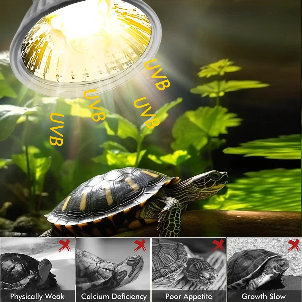 25/50/75W UVB Reptile Lamp Bul - đánh giá và giá Calcium Powder Reptile