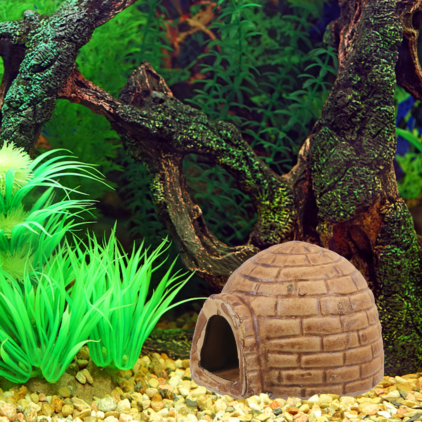 Ceramic Pleco Caves for Aquari - đánh giá và giá Hide Cave Ceramic