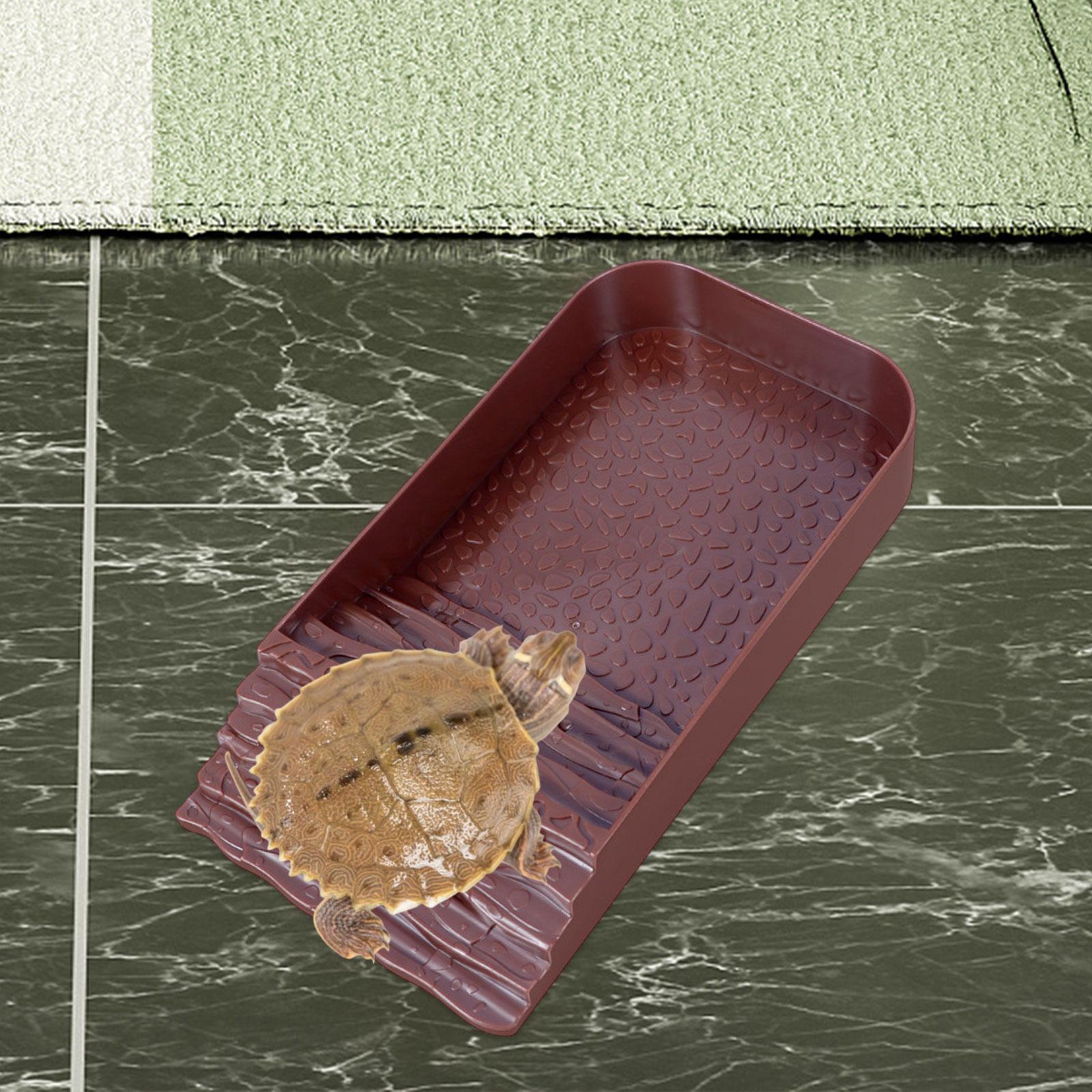 Reptile Water Bowl Accessories - đánh giá và giá Water Dish Reptile