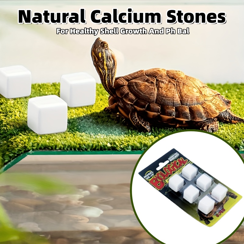 6 Pcs Fish Tank Calcium Block  - đánh giá và giá Calcium Powder Reptile
