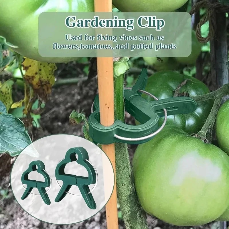 50 Reusable Plant Fixed Clips, - đánh giá và giá Vine Climbing Plastic