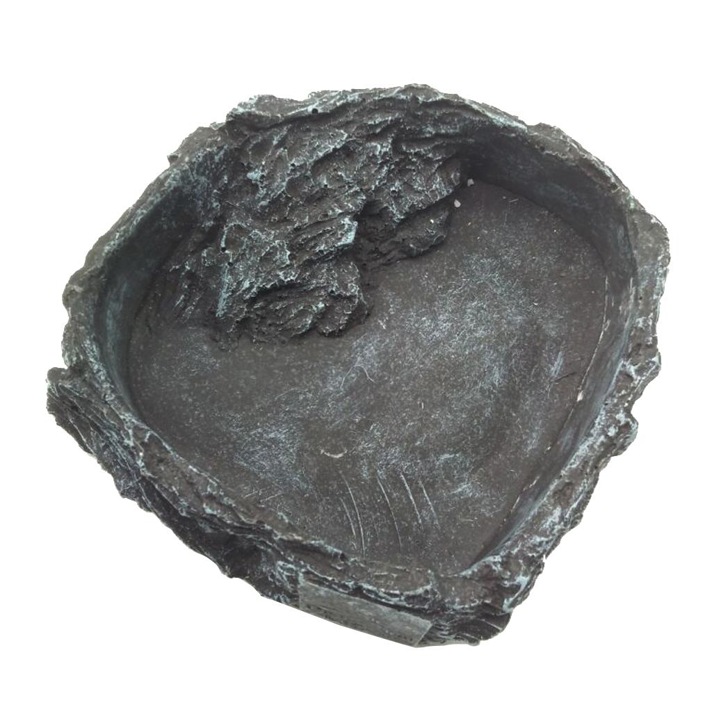 Resin Reptile Water Bowl Corne - đánh giá và giá Water Dish Reptile
