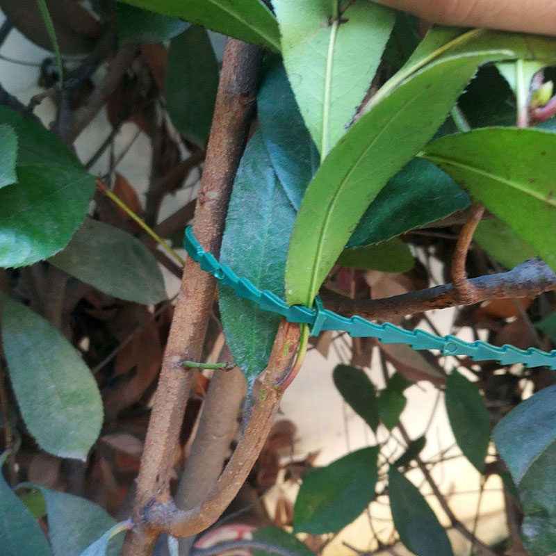 13cm Adjustable Plastic Plant  - đánh giá và giá Vine Climbing Plastic